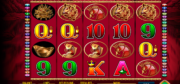 50 Dragons